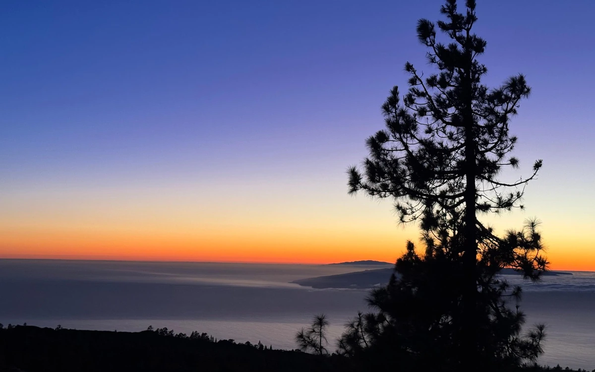 A pine tree in silhouette against an orange and violet dusk sky, with the sea and a low dark island far below