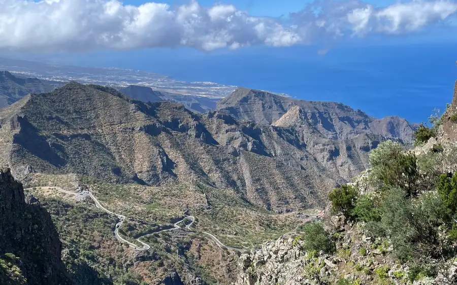 Hike above Masca through relict woods. Transfer included.